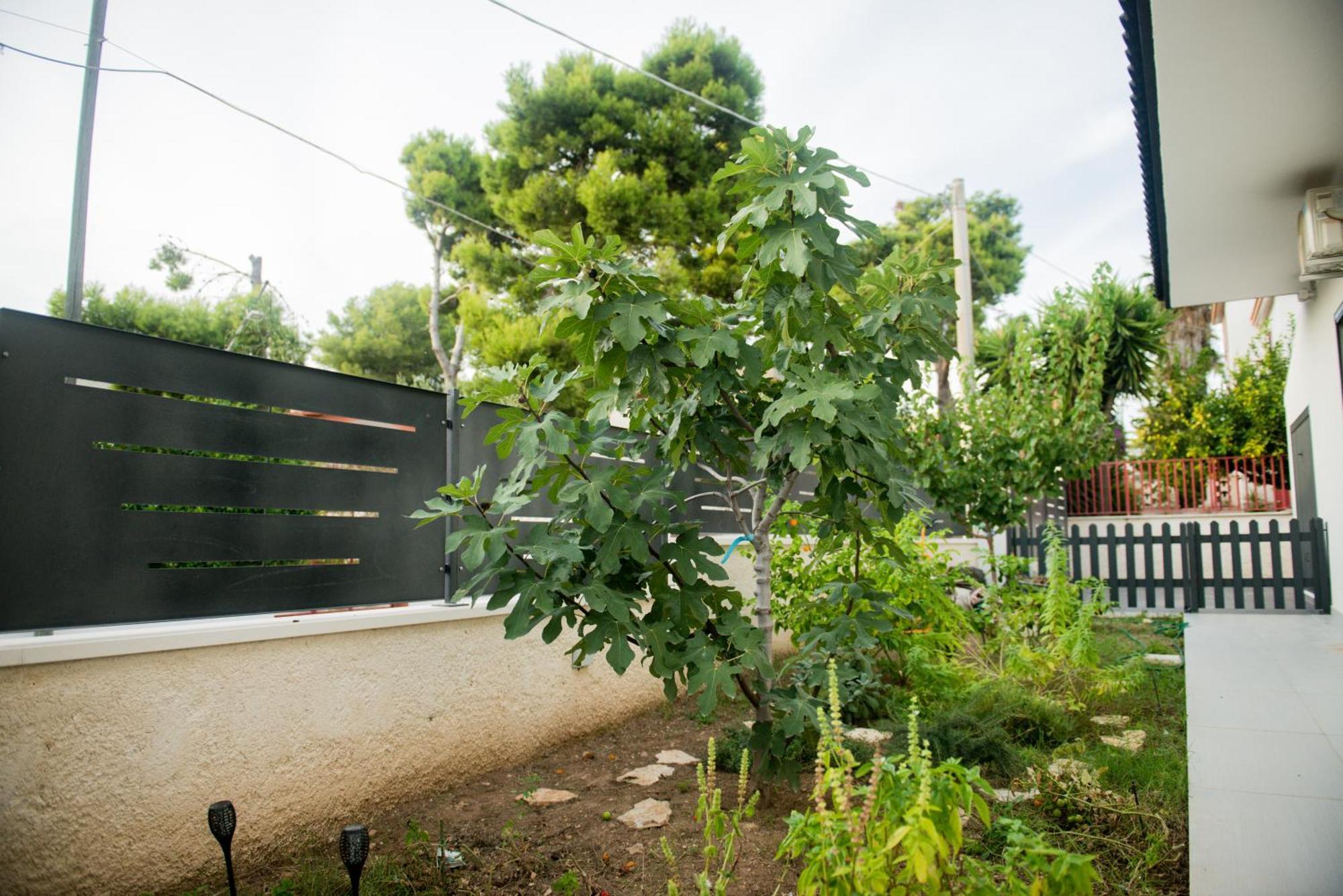 Divina Perla Bed & Breakfast Pulsano Exterior photo